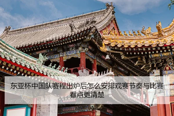 东亚杯中国队赛程出炉后怎么安排观赛节奏与比赛看点更清楚 - Douqiu Sports
